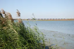 haringvlietsluizen caroline van der mark ark natuurontwikkeling