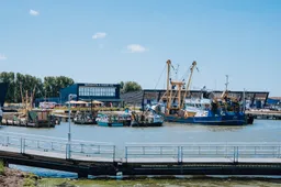 whatsapp image 2023 09 11 at 185016