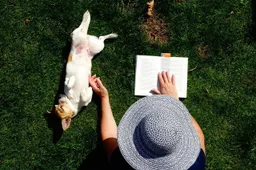relax lezen