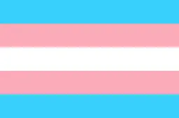 transgender
