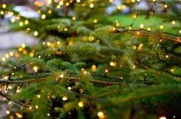 kerstboom kerstverlichting