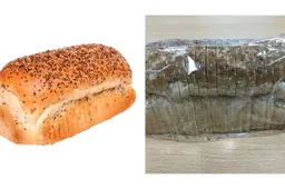 jumbo brood