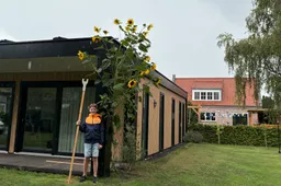 jip zonnebloem2-2