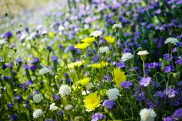 pexels-solyartphotos-6111772