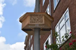 Streetlight BeeBee Premium BeeGrateful in de wijk