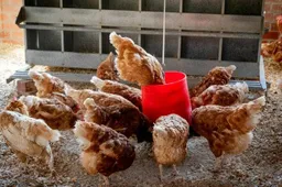 csm_pexels-magda-ehlers-pexels-1300375_31fd495622