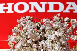 Yamamoto: "Both Honda and Red Bull are very open about their chassis and engine"