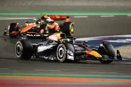Verstappen looked puzzled: 'What does that mean, papaya rules?'