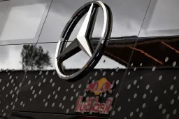 Lucertole alla Mercedes: Il team di F1 dà un nuovo alloggio ai rettili trovati nel campus