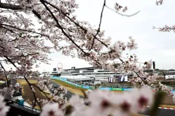50x je inzet als Max Verstappen de Grand Prix van Japan wint!