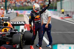 Verstappen determined: "I'm absolutely sure I'm faster than Hamilton"