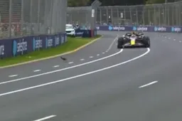 Verstappen ontwijkt vogel en weet potentieel drama af te wenden