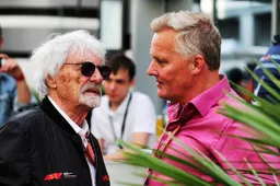 Steward Herbert voorspelt: ‘Norris pakt titel bij een DNF van Verstappen'