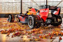 Nederlandse coureurs domineren de wereldwijde autosport!