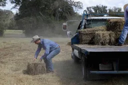 Video: Ricciardo als cowboy in Texas!