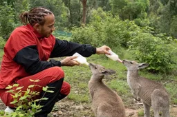 Hamilton urges Chinese to treat dogs better