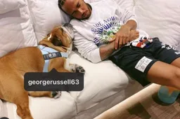 Hamilton accidentally tags Russell as his dog on Instagram