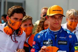 Norris also gets penalty points on his licence: 'That's just stupid'