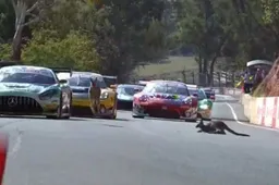 Kangaroos on the track and massive crashes at Bathurst 12 Hour qualifying!