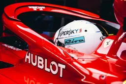 Moet de halo uniek gemaakt worden per coureur?