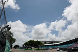 Unique inspection rounds in Miami: 'Several times a day on iguana hunt'