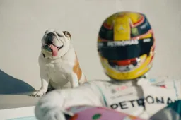 Zo spendeert Lewis Hamilton (met Roscoe) zijn vakantie!