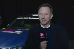 Horner ve potencial en Ricciardo: "Un gran activo para Red Bull