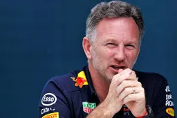 Horner vertrouwt de FIA: 'Zij hebben alle kennis in huis voor het juiste'