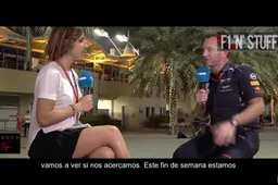 Video: Horner over Ricciardo en Verstappen