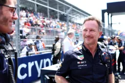 Horner reacts after qualifying: 'Good performance despite difficult conditions