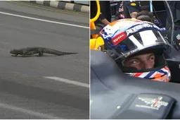 Video: Max komt godzilla tegen op de baan!