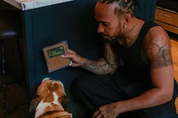 Hamiltons Hund Roscoe wurde auf eine 100 % pflanzliche Ernährung umgestellt: Mehr Energie