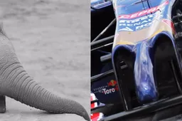 POLL: Walrusneus of Olifantenslurf voor McLaren in Barcelona?