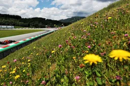 FP2 Full results: Verstappen fastest again, ahead of Ricciardo and Ocon