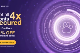 How to watch the Australian GP & the 2024 Formula 1 season using PureVPN