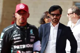 FIA: 'We zeggen niet dat je een miljoen moet betalen, voorkom de fout'
