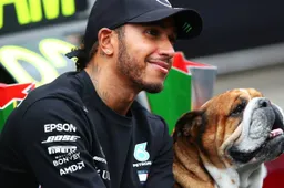 Hamilton ontvangt steun van criticus na overlijden Roscoe