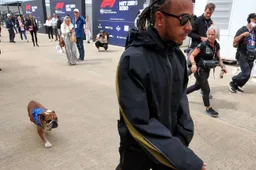 Hamilton gibt traurige Nachricht bekannt, sein Hund Roscoe ist verstorben