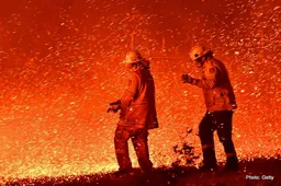 Hamilton donates $500,000 to help fight Australian fires