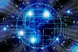 High Stakes and the Neuroscience of Risk and Reward in New Zealand