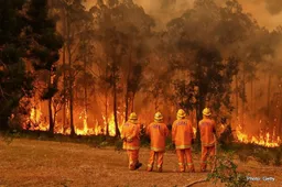 Formula 1 to hold auction for Australian bushfires