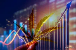 Green Economics: Financial Impact of Cannabis in California