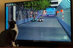 Virtual Formula E test race at Monaco proves true to life