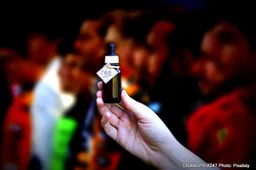 Winning Edge: CBD and Formula 1 Drivers' Recovery Regimens