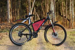 How Fast Can Electric Bikes Go?