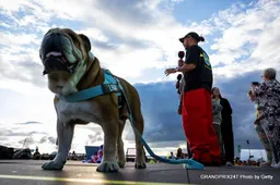 Hamilton: Overwhelming to see how much Roscoe touched people