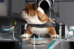 Hamilton freezes Roscoe's sperm