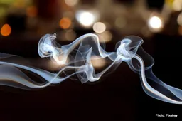 How does smoking affect the human body?