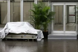 Lotus money woes laid bare in Suzuka rain
