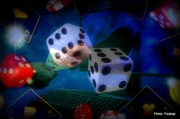 NZ Online Casinos: Understanding the Landscape